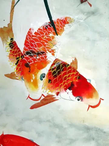 Hình vẽ cá chép đẹp nhất