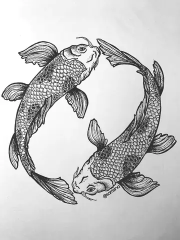 Hình vẽ cá chép đẹp nhất
