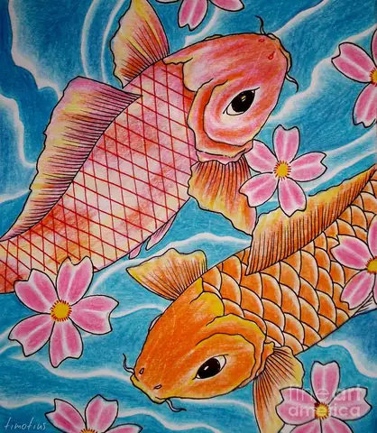 Hình vẽ cá chép đẹp nhất