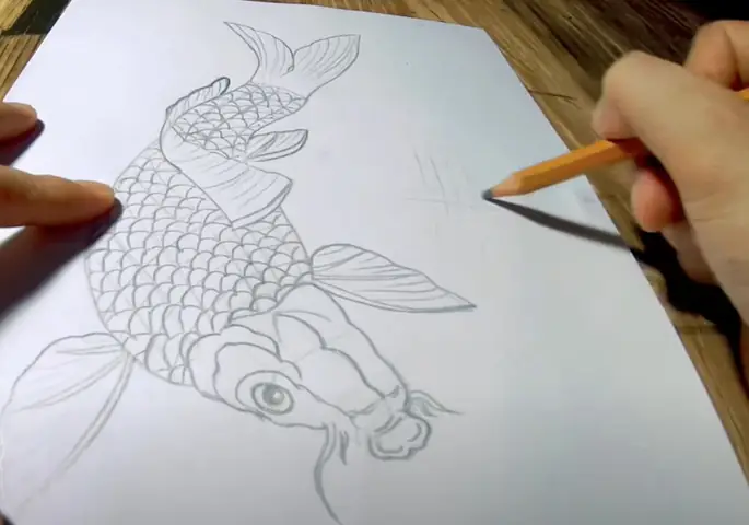 Cách Vẽ **Hình Vẽ Cá Chép Hóa Rồng Đơn Giản** Chi Tiết Nhất