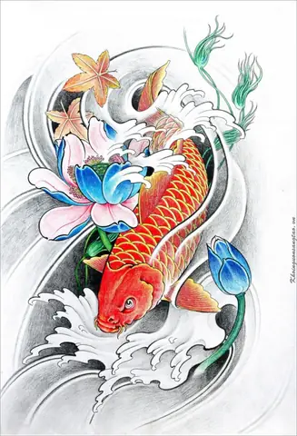 Cách Vẽ **Hình Vẽ Cá Chép Hóa Rồng Đơn Giản** Chi Tiết Nhất