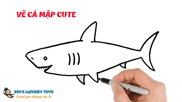 Hình ảnh cho hình vẽ cá mập đẹp: