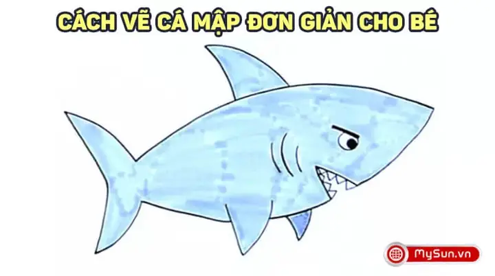 Hình ảnh cho hình vẽ cá mập đẹp:
