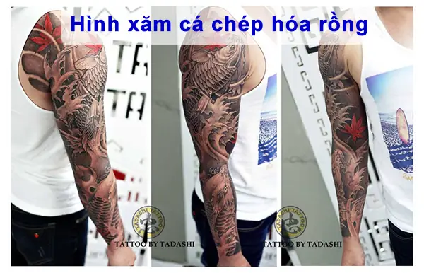 Ý nghĩa và truyền thuyết cá chép vượt vũ môn hóa rồng: Biểu tượng vươn tới thành công