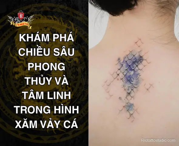Vảy Cá: Kiến Thức Toàn Diện Về Lớp Áo Giáp Độc Đáo Của Loài Cá Vảy Cá: Kiến Thức Toàn Diện Về Lớp Áo Giáp Độc Đáo Của Loài Cá