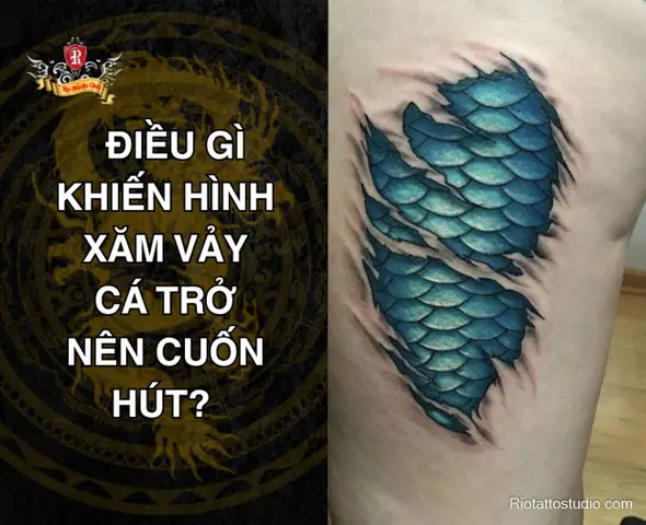 Vảy Cá: Kiến Thức Toàn Diện Về Lớp Áo Giáp Độc Đáo Của Loài Cá