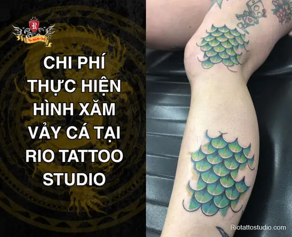 Vảy Cá: Kiến Thức Toàn Diện Về Lớp Áo Giáp Độc Đáo Của Loài Cá Vảy Cá: Kiến Thức Toàn Diện Về Lớp Áo Giáp Độc Đáo Của Loài Cá