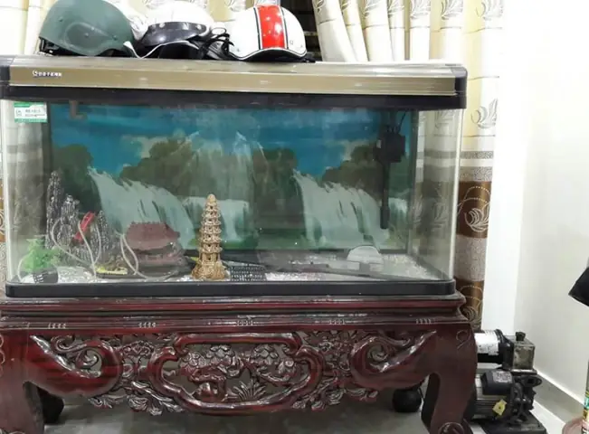 hồ cá 1m2 giá bao nhiêu