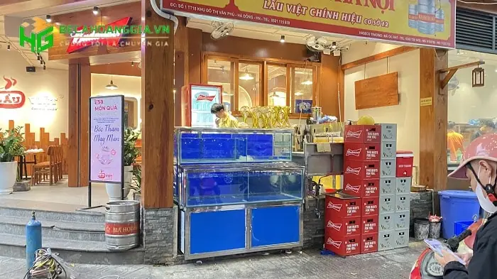 Hồ Cá 2 Tầng: Hướng Dẫn Thiết Lập Và Chăm Sóc Toàn Diện