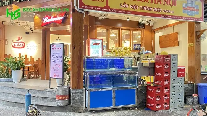 Hồ Cá 2 Tầng: Hướng Dẫn Thiết Lập Và Chăm Sóc Toàn Diện