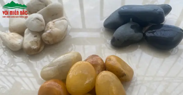 Hướng Dẫn Thiết Kế & Trang Trí **Hồ Cá Bằng Đá** Đẹp Chuẩn Chuyên Gia
