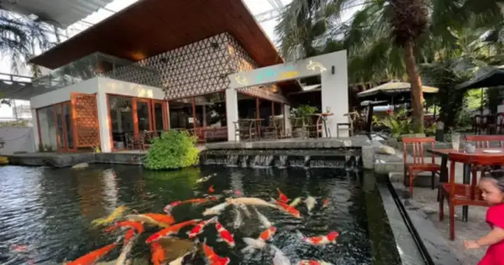 Hồ Cá Cảnh Bình Dương: Kinh Nghiệm Lựa Chọn Và Thi Công