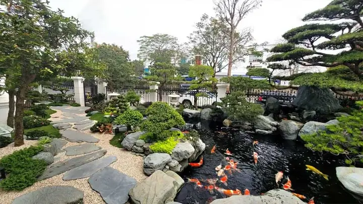 Hồ Cá Cảnh Bình Dương: Kinh Nghiệm Lựa Chọn Và Thi Công