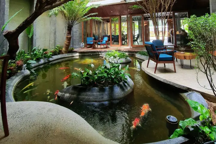 hồ cá cảnh đẹp hồ cá cảnh đẹp
