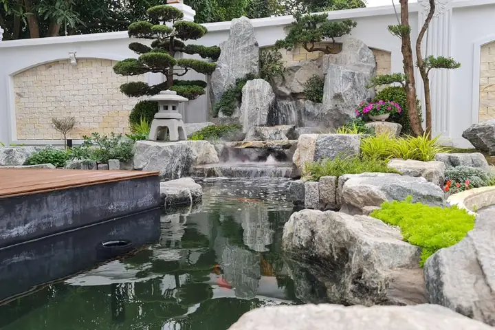 hồ cá cảnh đẹp hồ cá cảnh đẹp