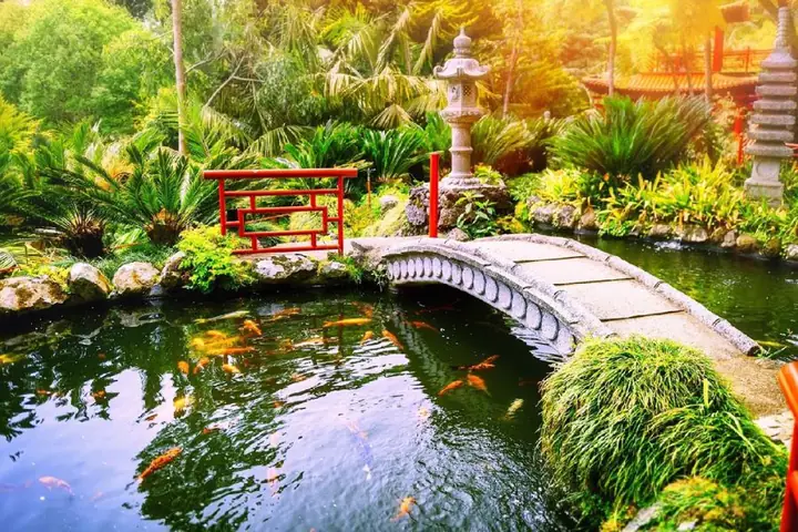 hồ cá cảnh đẹp hồ cá cảnh đẹp