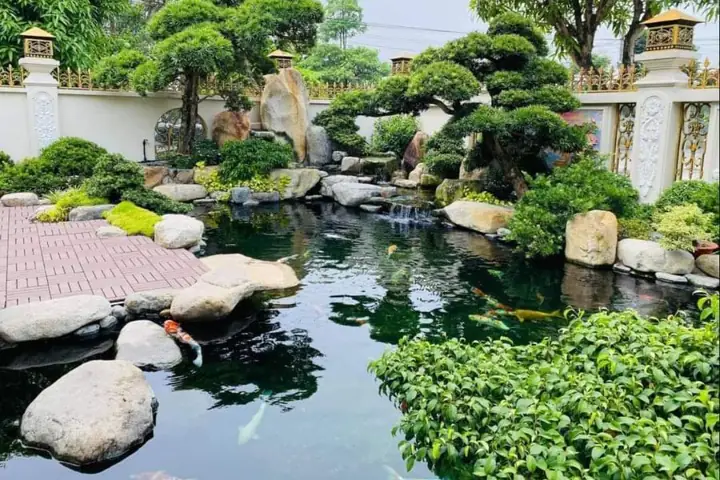 hồ cá cảnh đẹp hồ cá cảnh đẹp