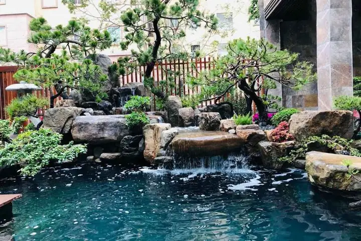 hồ cá cảnh đẹp hồ cá cảnh đẹp