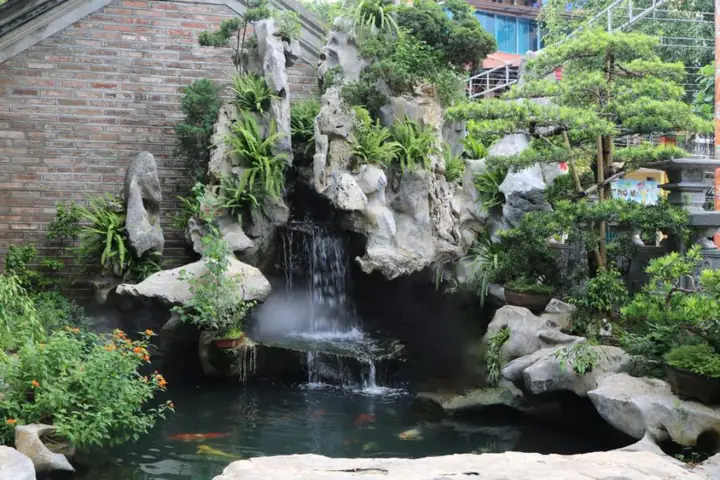 hồ cá cảnh đẹp hồ cá cảnh đẹp