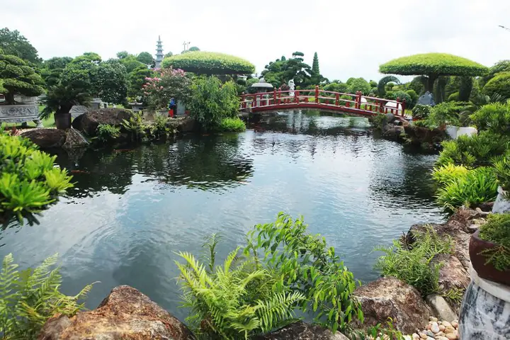 hồ cá cảnh đẹp hồ cá cảnh đẹp