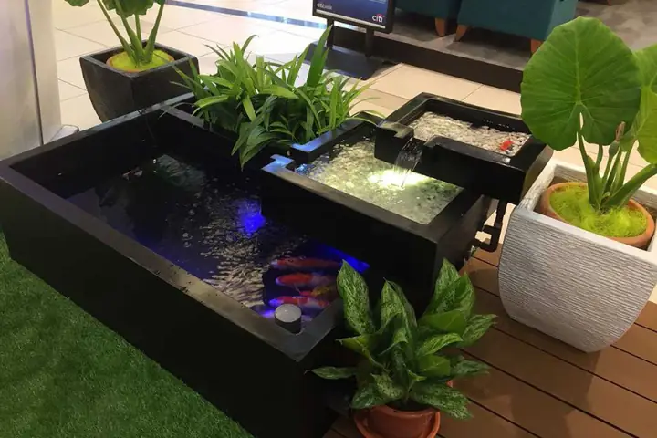 hồ cá cảnh đẹp hồ cá cảnh đẹp