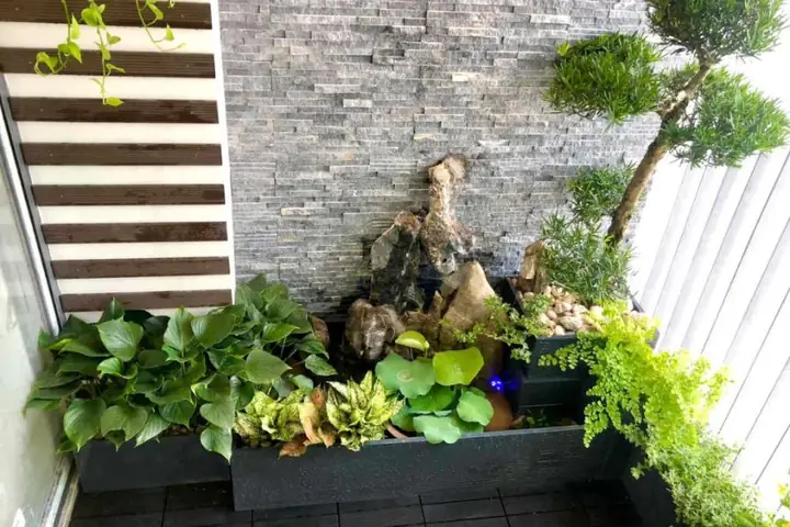 hồ cá cảnh đẹp hồ cá cảnh đẹp