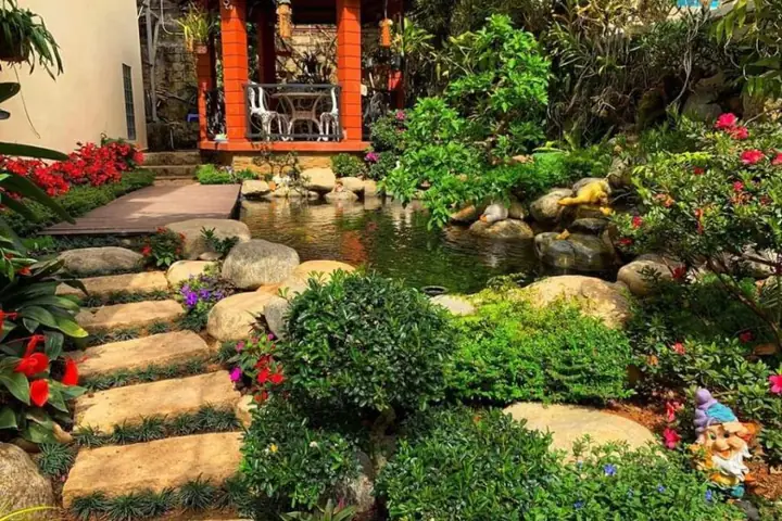 hồ cá cảnh đẹp hồ cá cảnh đẹp