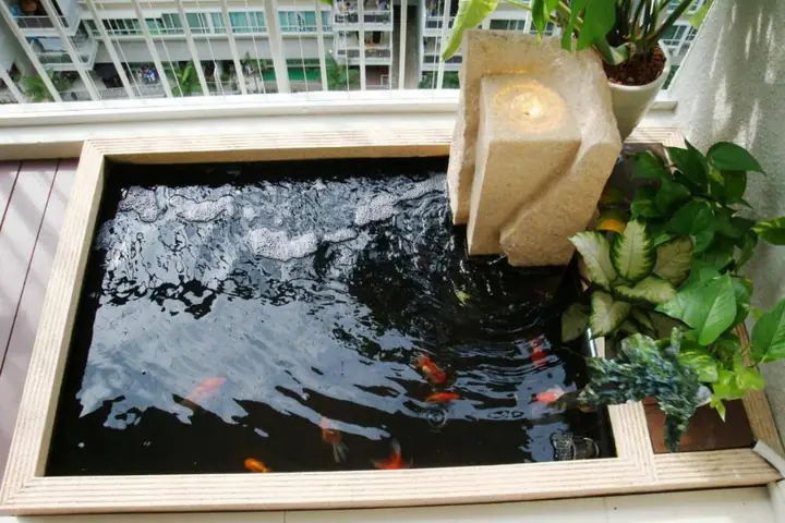 hồ cá cảnh đẹp hồ cá cảnh đẹp