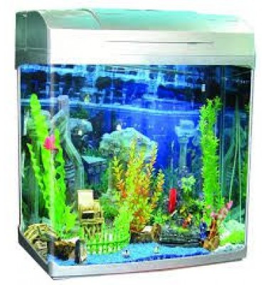 Hồ cá cảnh đúc 1m2 lớn tạo điểm nhấn cho không gian nội thất