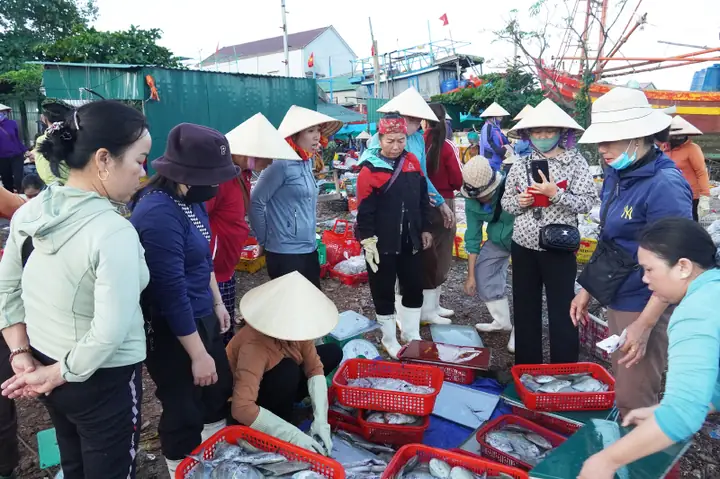 Hồ Cá Cảnh Dương: Đánh Giá Chi Tiết Về Cửa Hàng Cá Cảnh