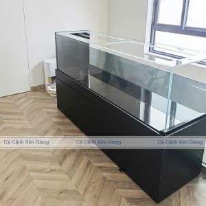 Hồ cá cảnh lớn công nghệ mới dài 2 mét tại không gian sống hiện đại