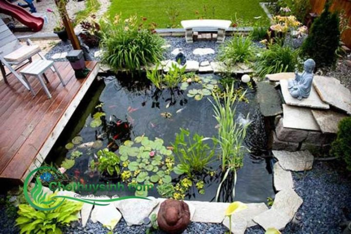Hồ cá cảnh ngoài trời thiết kế đẹp