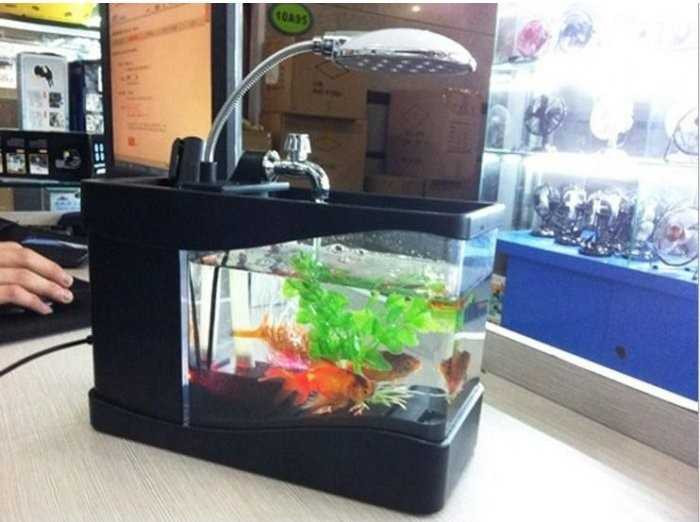 Hồ cá cảnh phong phú tại Hoàng Long Aqua