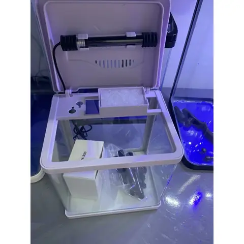 Hướng Dẫn Chăm Sóc Và Xây Dựng Hồ Cá Cảnh Thủy Sinh