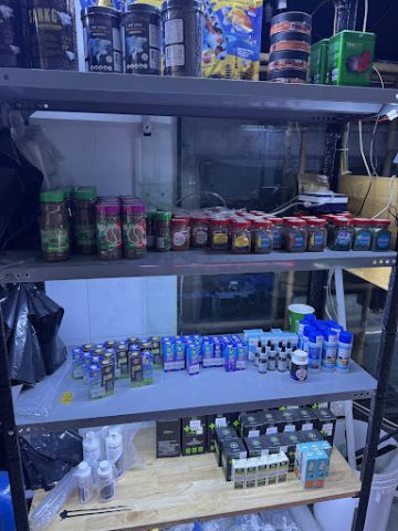 Hồ cá cảnh thủy sinh đẹp tại Q8 AQUARIUM COFFEE Quận 8