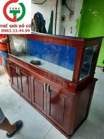 Kinh nghiệm mua bán hồ cá cũ chợ tốt an toàn và hiệu quả