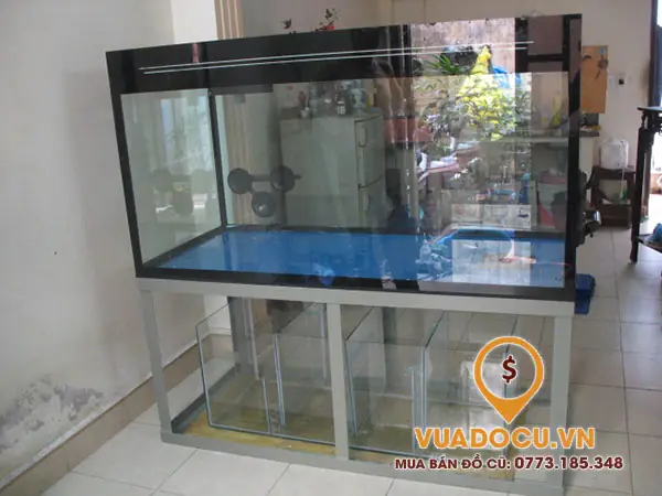 Hồ cá cũ giá rẻ HCM: Hướng dẫn chọn mua chất lượng bền