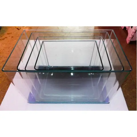 Hồ Cá Đúc 50cm: Ưu Điểm, Cách Chọn và Lắp Đặt Hoàn Hảo