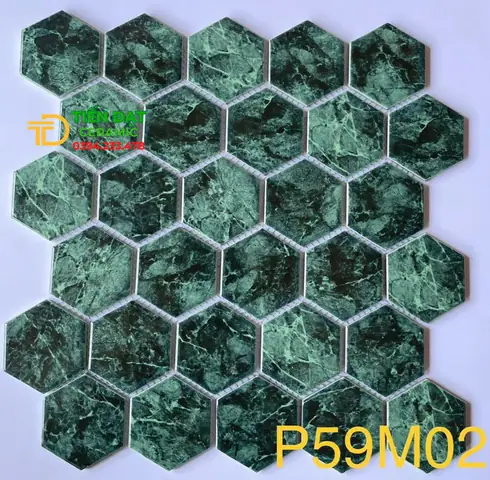 Hướng Dẫn Toàn Diện Về Hồ Cá Gạch Men: Thiết Kế & Chăm Sóc