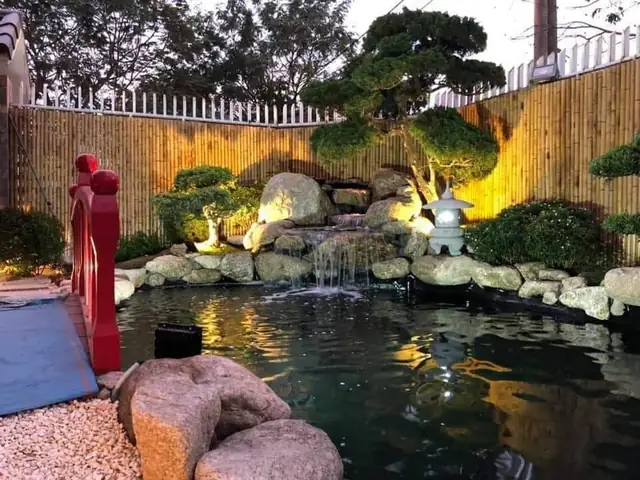 Hướng Dẫn Toàn Diện Về Hồ Cá Gia Đình Đẹp Và Bền Vững Hướng Dẫn Toàn Diện Về Hồ Cá Gia Đình Đẹp Và Bền Vững
