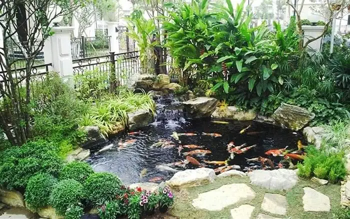 Hướng Dẫn Toàn Diện Về Hồ Cá Gia Đình Đẹp Và Bền Vững Hướng Dẫn Toàn Diện Về Hồ Cá Gia Đình Đẹp Và Bền Vững