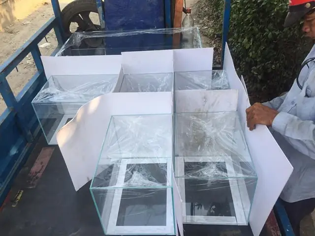 hồ cá giá rẻ