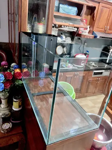 hồ cá giá rẻ