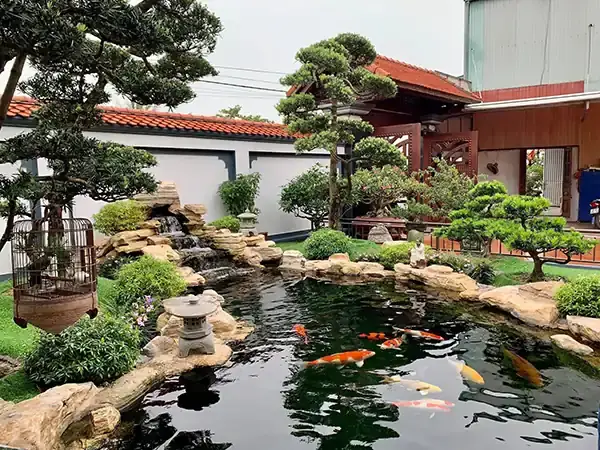 Hồ Cá Hình Bán Nguyệt: Hướng Dẫn Thiết Kế Và Xây Dựng Từ A-Z