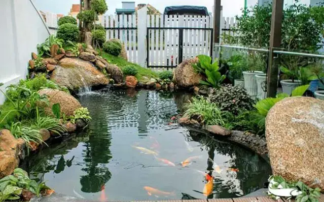 Hồ Cá Hình Bán Nguyệt: Hướng Dẫn Thiết Kế Và Xây Dựng Từ A-Z