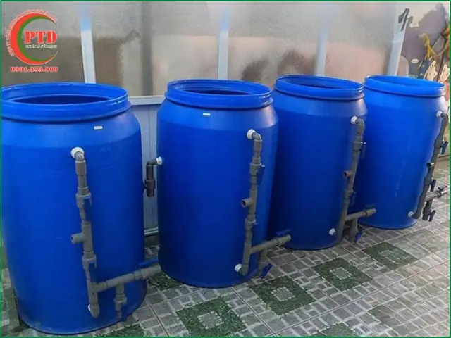 Hồ Cá Koi Bằng Nhựa: Hướng Dẫn Chi Tiết Từ A Đến Z Hồ Cá Koi Bằng Nhựa: Hướng Dẫn Chi Tiết Từ A Đến Z