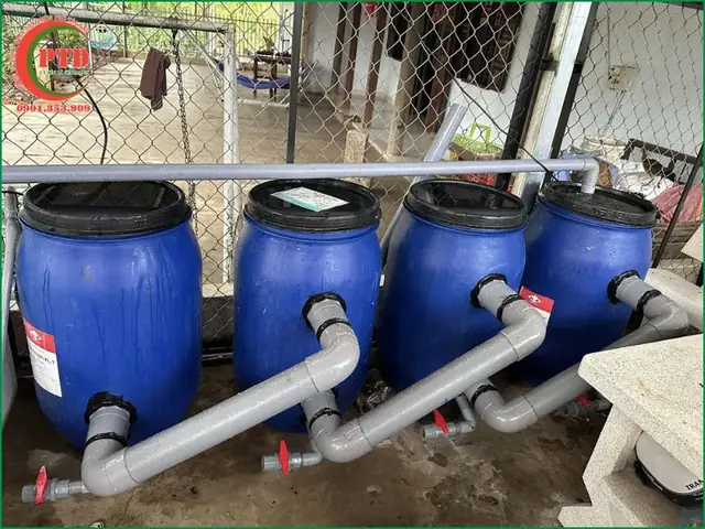 Hồ Cá Koi Bằng Nhựa: Hướng Dẫn Chi Tiết Từ A Đến Z Hồ Cá Koi Bằng Nhựa: Hướng Dẫn Chi Tiết Từ A Đến Z