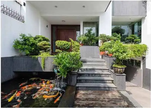 Thiết Kế Hồ Cá Koi Bên Hông Nhà: Tối Ưu Không Gian Hẹp