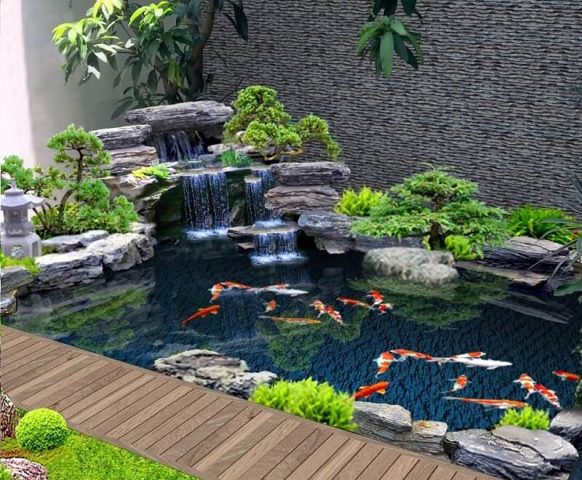 Hồ cá Koi cảnh lớn với những chú cá đầy màu sắc tại Tây Ninh