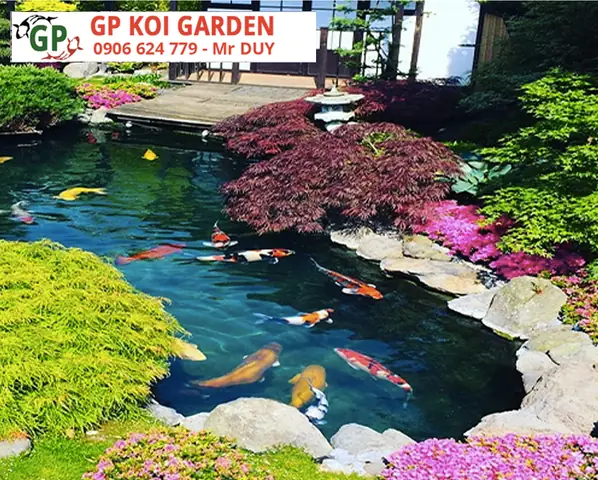 Hướng Dẫn Thiết Kế và Chăm Sóc Hồ Cá Koi Đà Lạt Chuẩn Hướng Dẫn Thiết Kế và Chăm Sóc Hồ Cá Koi Đà Lạt Chuẩn
